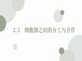 3.2 细胞器之间的分工合作 课件 高中生物新人教版必修1