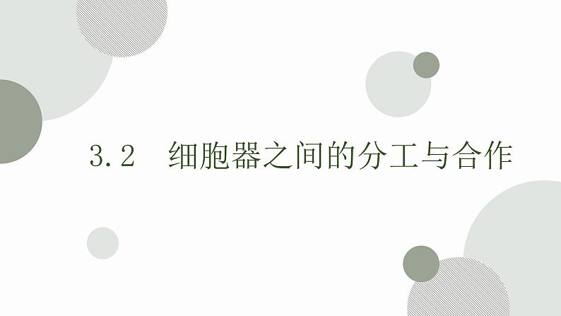 3.2 细胞器之间的分工合作 课件 高中生物新人教版必修101