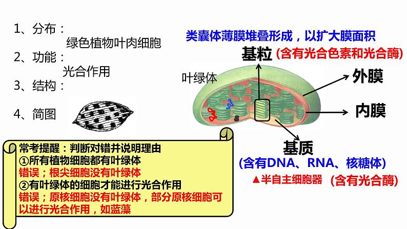 3.2 细胞器之间的分工合作 课件 高中生物新人教版必修106