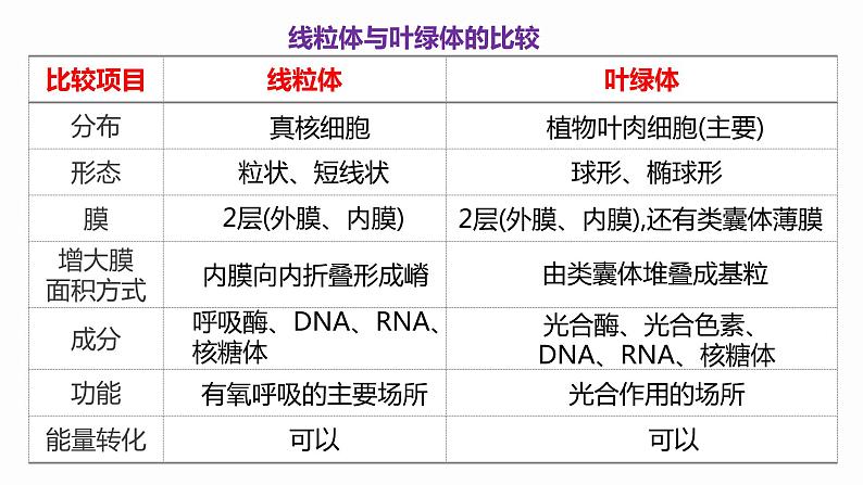 3.2 细胞器之间的分工合作 课件 高中生物新人教版必修107