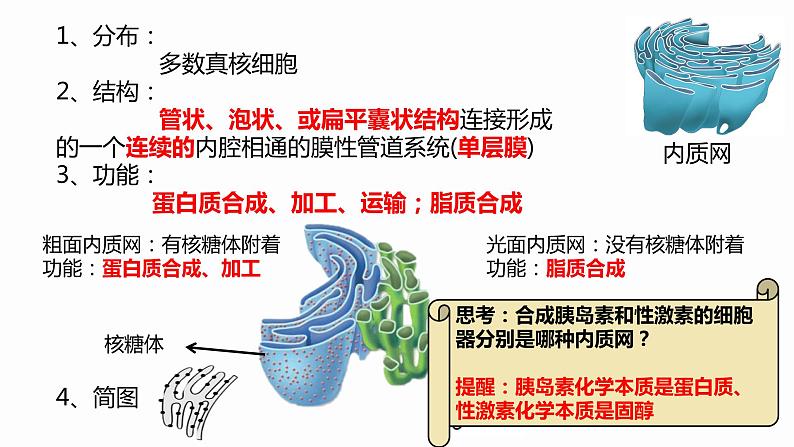 3.2 细胞器之间的分工合作 课件 高中生物新人教版必修108