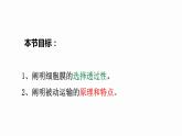 4.1 被动运输 课件 高中生物新人教版必修1