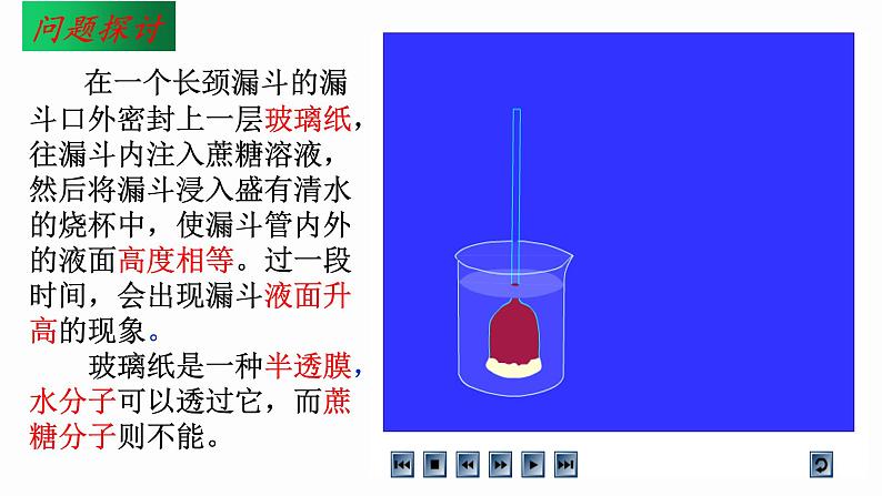 4.1 被动运输 课件 高中生物新人教版必修1第3页