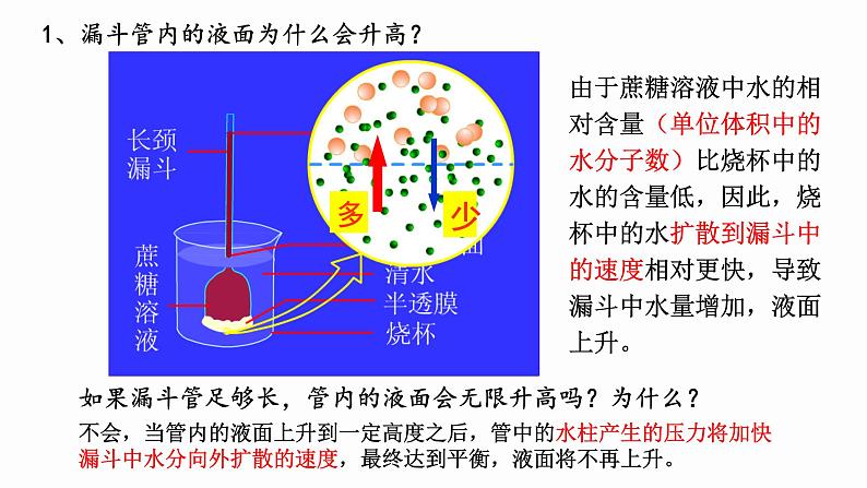 4.1 被动运输 课件 高中生物新人教版必修1第5页