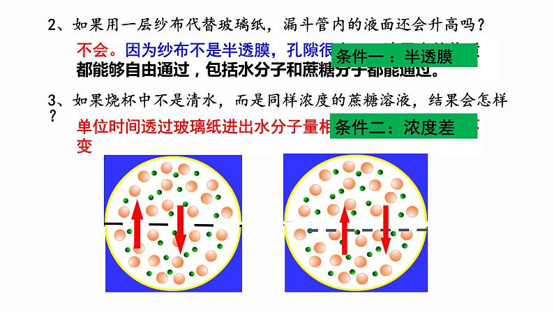 4.1 被动运输 课件 高中生物新人教版必修1第6页