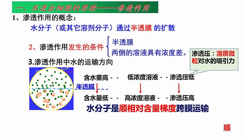 4.1 被动运输 课件 高中生物新人教版必修1第7页