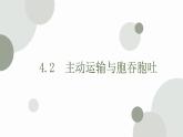 4.2 主动运输与胞吞、胞吐 课件 高中生物新人教版必修1