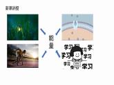 5.2 细胞的能量“货币”ATP 课件 高中生物新人教版必修1