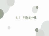 6.2 细胞的分化 课件 高中生物新人教版必修1