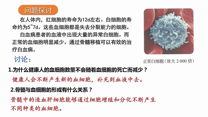 6.2 细胞的分化 课件 高中生物新人教版必修102