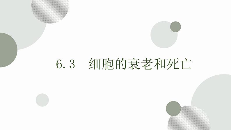 6.3 细胞的衰老和死亡 课件 高中生物新人教版必修101