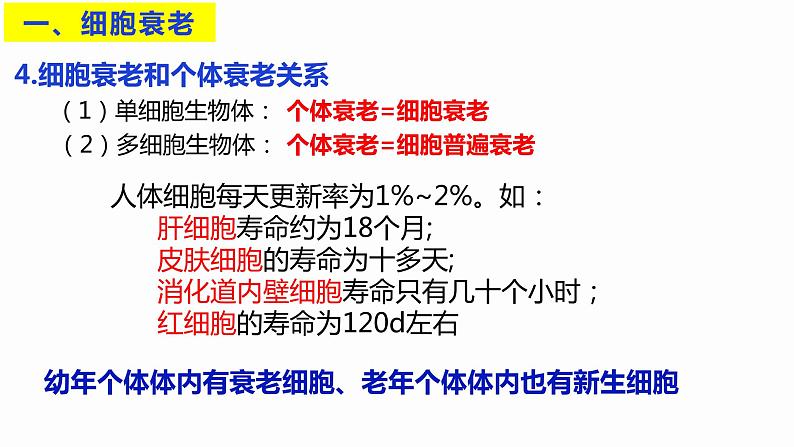 6.3 细胞的衰老和死亡 课件 高中生物新人教版必修108