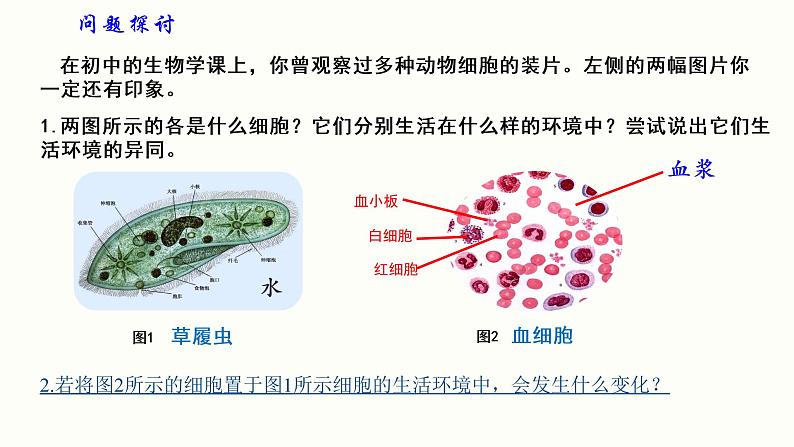 1.1 细胞生活的环境 课件 高中生物新人教版 选择性必修103