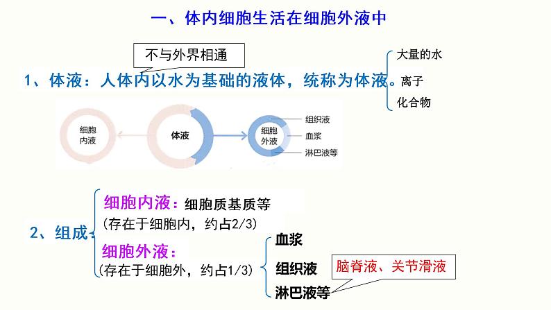 1.1 细胞生活的环境 课件 高中生物新人教版 选择性必修105