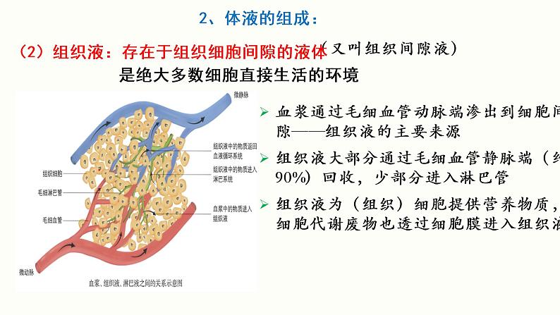 1.1 细胞生活的环境 课件 高中生物新人教版 选择性必修108