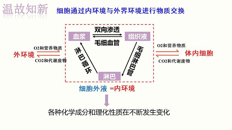 1.2 内环境的稳态 课件 高中生物新人教版 选择性必修103