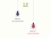 2.1 神经调节的结构基础 课件 高中生物新人教版 选择性必修1