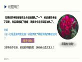 2.2 神经调节的基本方式 课件 高中生物新人教版 选择性必修1