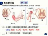 2.2 神经调节的基本方式 课件 高中生物新人教版 选择性必修1