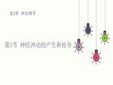 2.3 神经冲动的产生和传导 课件 高中生物新人教版 选择性必修1