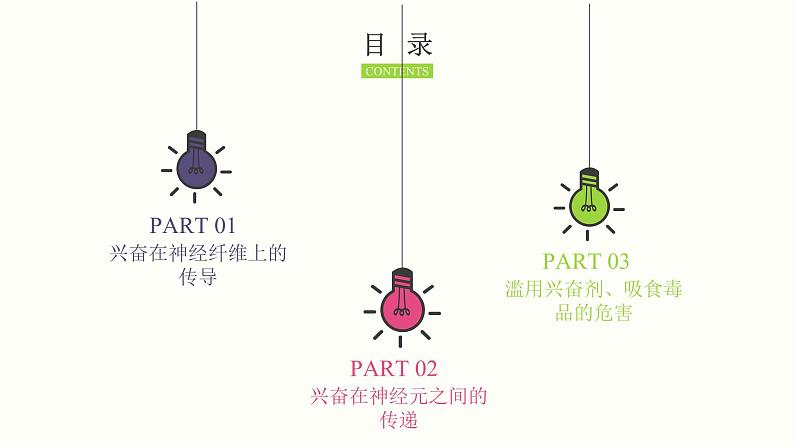 2.3 神经冲动的产生和传导 课件 高中生物新人教版 选择性必修1第2页