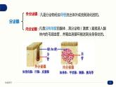 3.1 激素与内分泌系统 课件 高中生物新人教版 选择性必修1