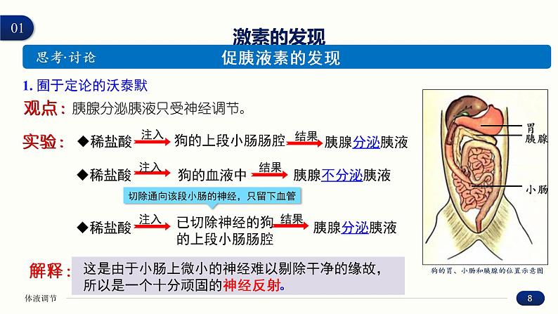 3.1 激素与内分泌系统 课件 高中生物新人教版 选择性必修108