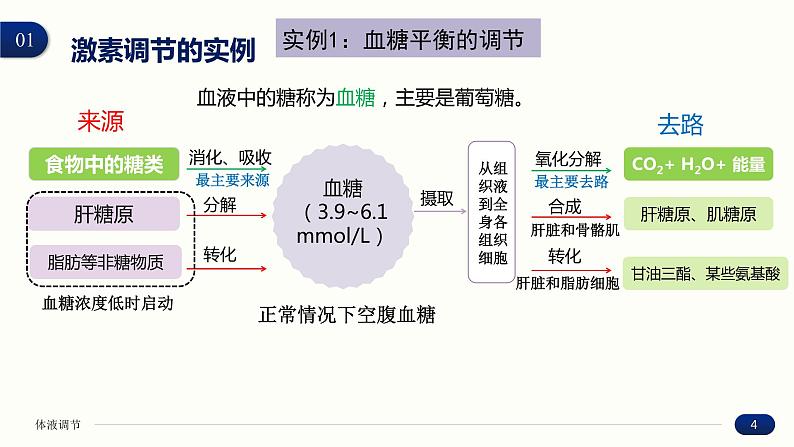 3.2 激素调节的过程 课件 高中生物新人教版 选择性必修104