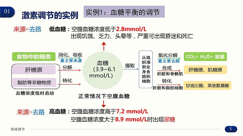 3.2 激素调节的过程 课件 高中生物新人教版 选择性必修105