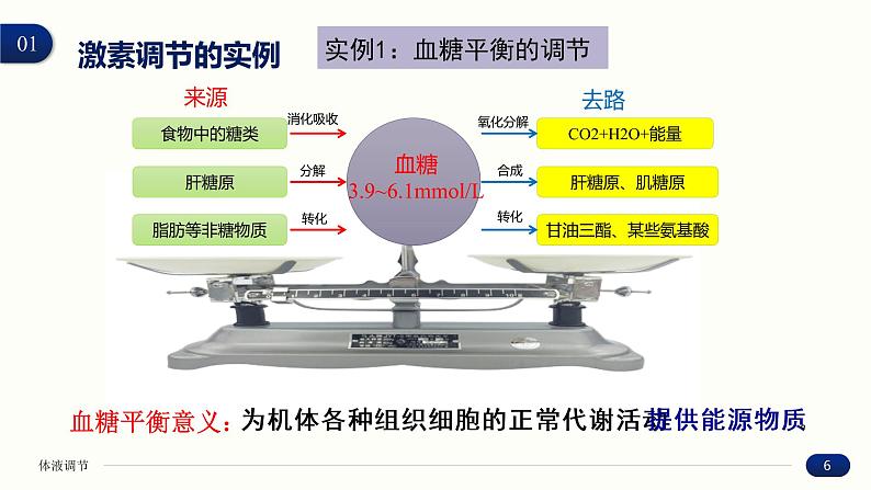 3.2 激素调节的过程 课件 高中生物新人教版 选择性必修106