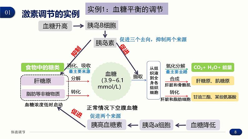 3.2 激素调节的过程 课件 高中生物新人教版 选择性必修108