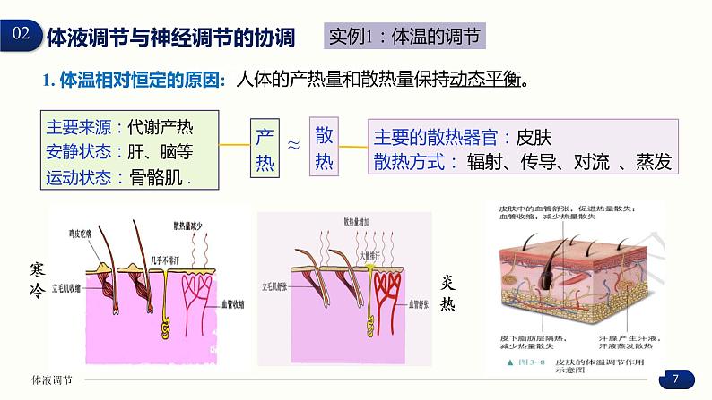 3.3 体液调节与神经调节的关系 课件 高中生物新人教版 选择性必修107