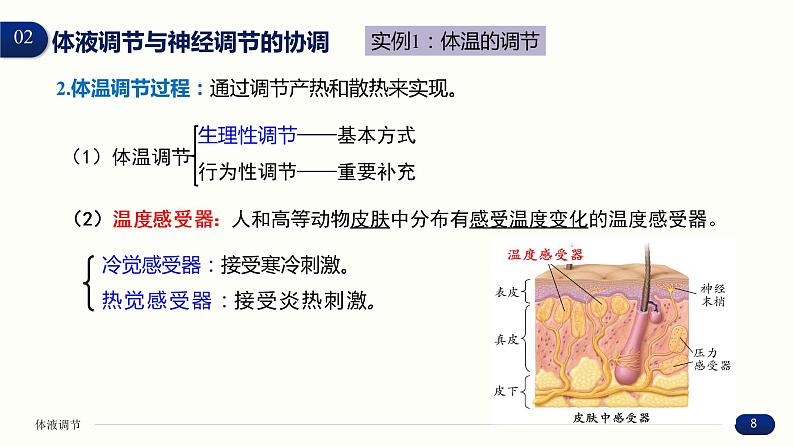 3.3 体液调节与神经调节的关系 课件 高中生物新人教版 选择性必修108