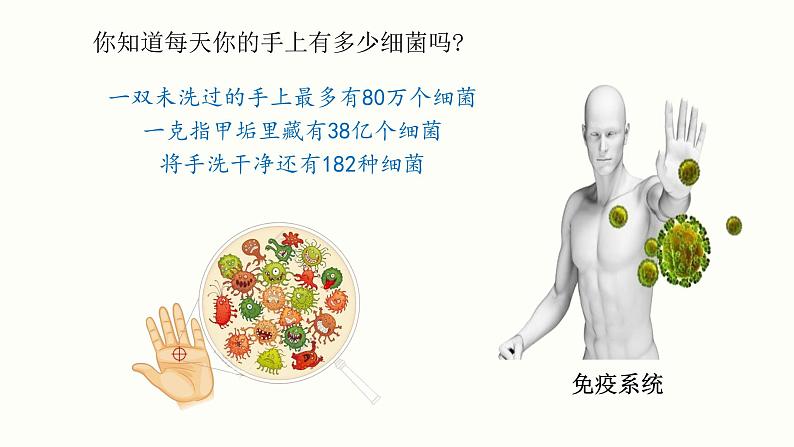 4.1 免疫系统的组成和功能 课件 高中生物新人教版 选择性必修102