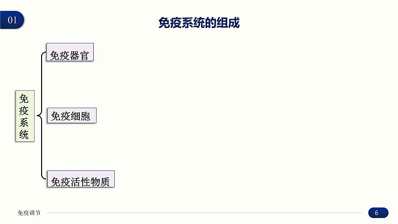 4.1 免疫系统的组成和功能 课件 高中生物新人教版 选择性必修106