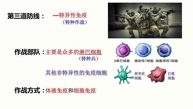 4.2 特异性免疫 课件 高中生物新人教版 选择性必修1第4页