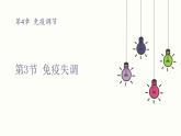 4.3 免疫失调 课件 高中生物新人教版 选择性必修1