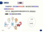 4.3 免疫失调 课件 高中生物新人教版 选择性必修1