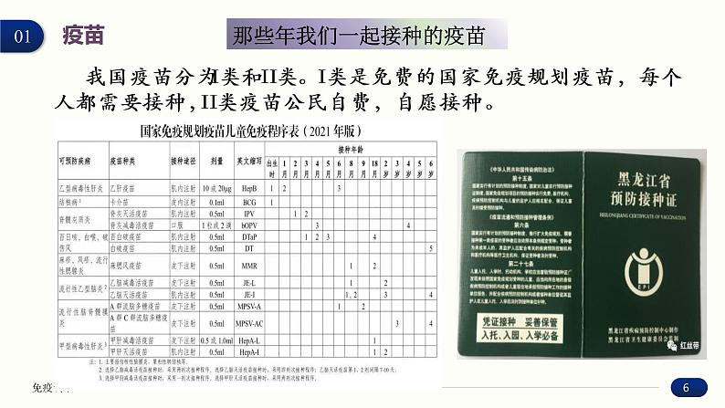 4.4 免疫学的应用 课件 高中生物新人教版 选择性必修1第6页