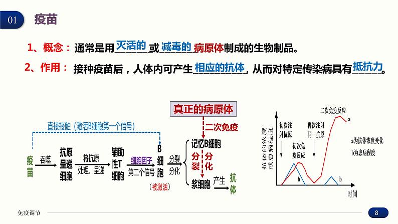 4.4 免疫学的应用 课件 高中生物新人教版 选择性必修1第8页