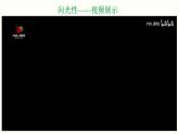 5.1 植物生长素 课件 高中生物新人教版 选择性必修1