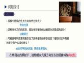 5.1 植物生长素 课件 高中生物新人教版 选择性必修1