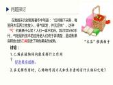 5.2 其他植物激素 课件 高中生物新人教版 选择性必修1