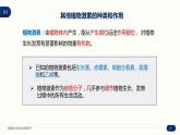 5.2 其他植物激素 课件 高中生物新人教版 选择性必修1