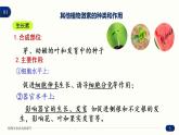 5.2 其他植物激素 课件 高中生物新人教版 选择性必修1