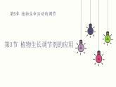5.3 植物生长调节剂的应用 课件 高中生物新人教版 选择性必修1