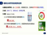 5.3 植物生长调节剂的应用 课件 高中生物新人教版 选择性必修1