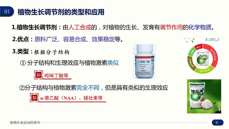 5.3 植物生长调节剂的应用 课件 高中生物新人教版 选择性必修1第4页