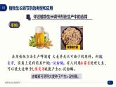 5.3 植物生长调节剂的应用 课件 高中生物新人教版 选择性必修1