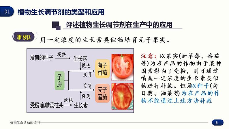 5.3 植物生长调节剂的应用 课件 高中生物新人教版 选择性必修1第6页